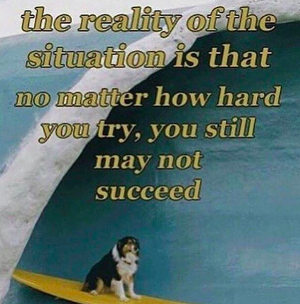 the reality of the situation is that no matter how hard you try, you still may not succeed