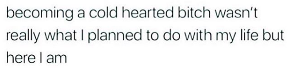 becoming a cold hearted bitch wasn't really what I planned to do with my life but here I am