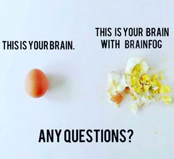 this is your brain: egg. this is your brain with brain fog: smashed egg. any questions?