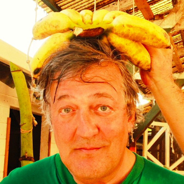 Image of Stephen Fry holding bananas above his head