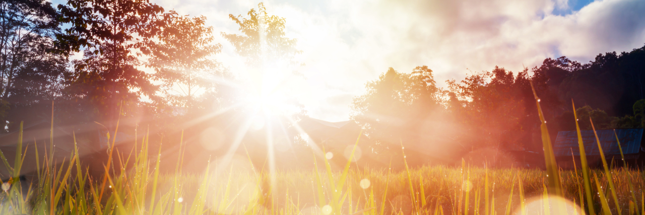 Multiple Sclerosis and Summer Heat Sensitivity Summer in a field.