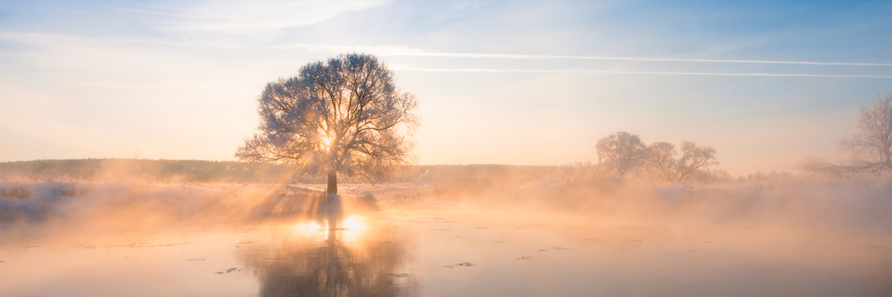 Defining Independence as a Person With a Disability Winter panorama with single tree reflected in the lake.