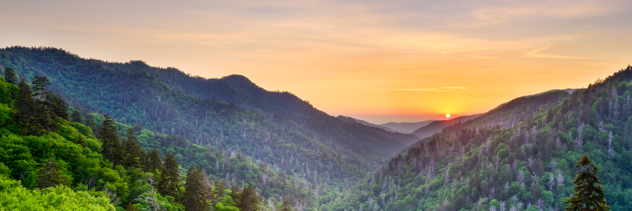 Living With Pectus Excavatum Newfound Gap in the Smoky Mountains, Tennessee, USA.