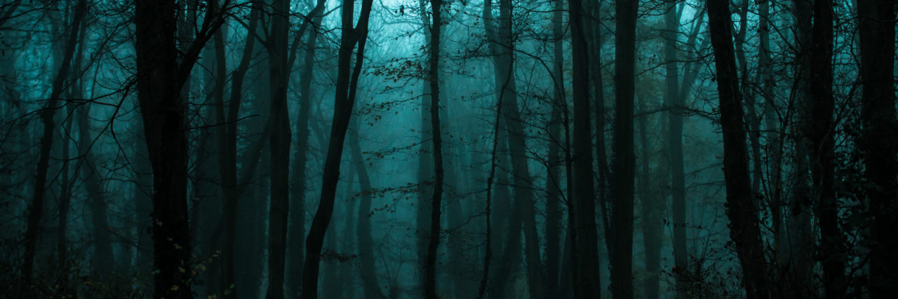 How Depression Feels Like Walking Through a Thick Brush thick brush of woods