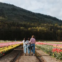 Three friends with their hands arm and arm, walking through a field of flowers. They're facing away