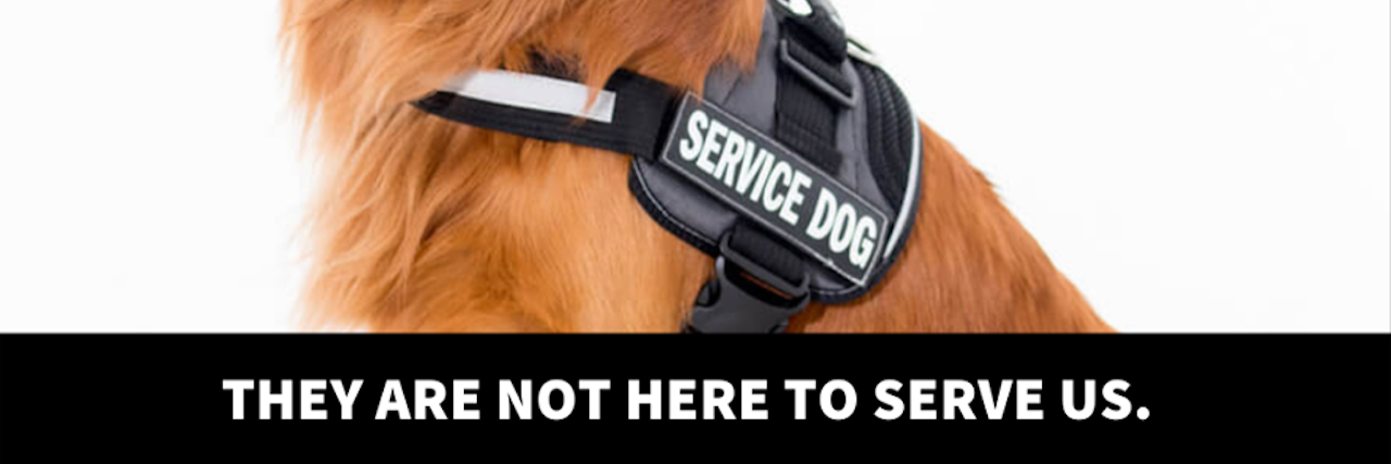 Anonymous for the Voiceless service dog social media post