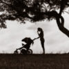 mother pushing stroller in a field near a tree
