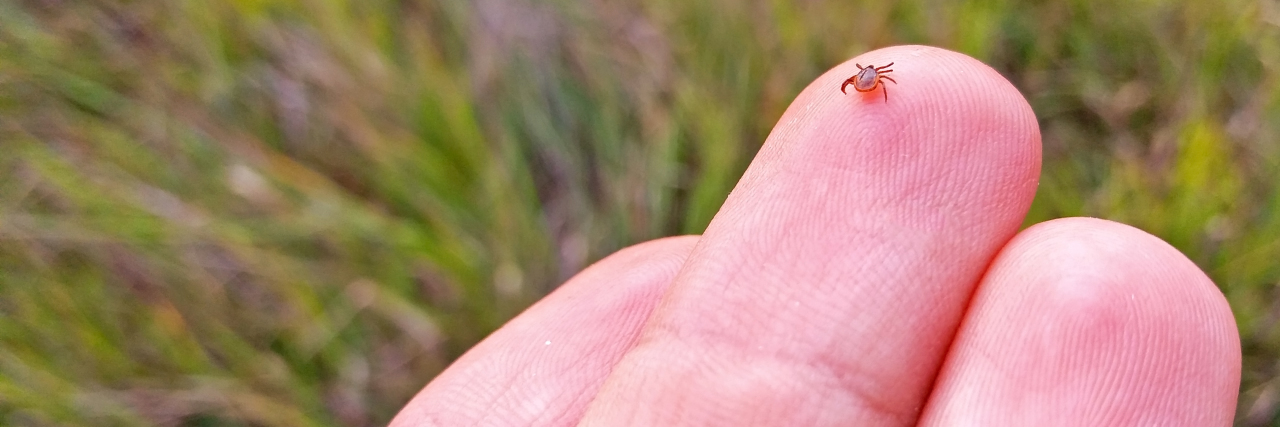 What Is Post-Treatment Lyme Disease Syndrome a small tick on a man's fingertip