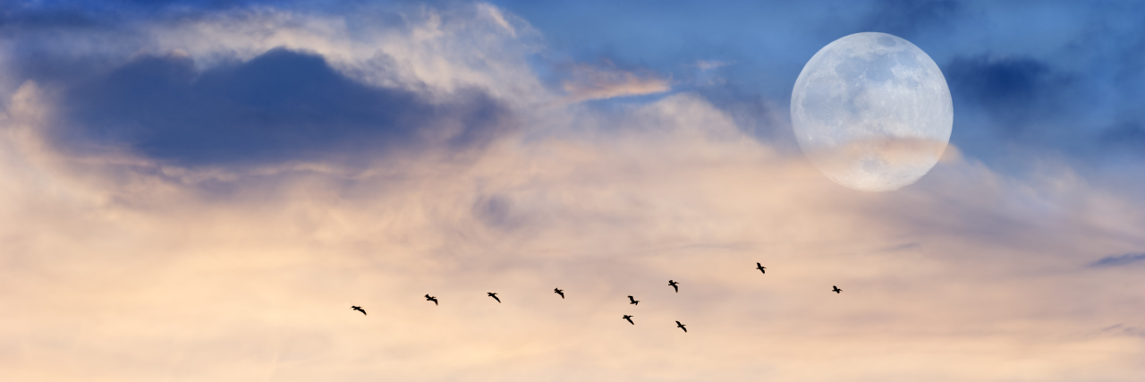 Ending the Stigma Surrounding Narcolepsy Moon and birds in sky during the day.