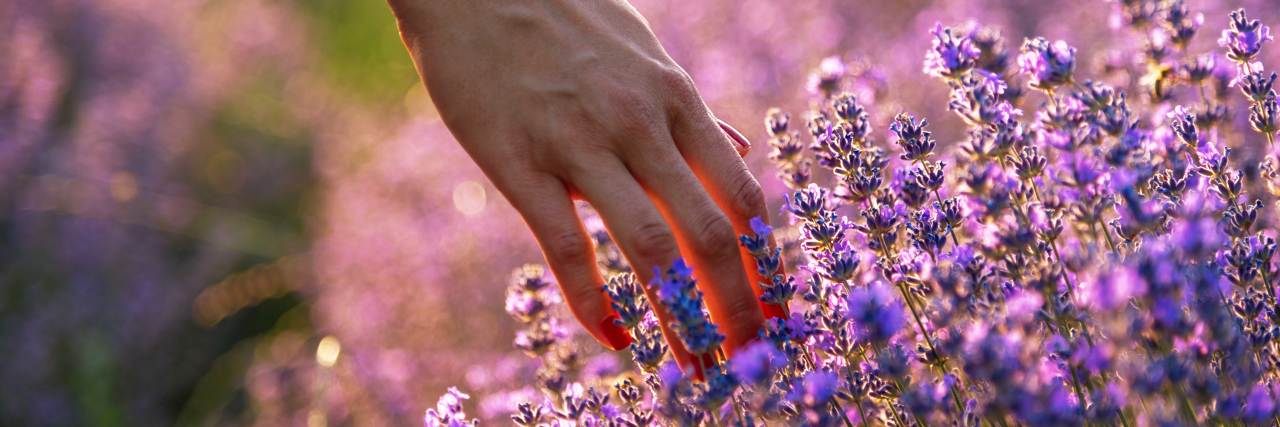 Woman touching lavender flowers.