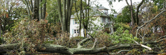 Destruction left after a hurricane, fallen tress on the street of a neighborhood