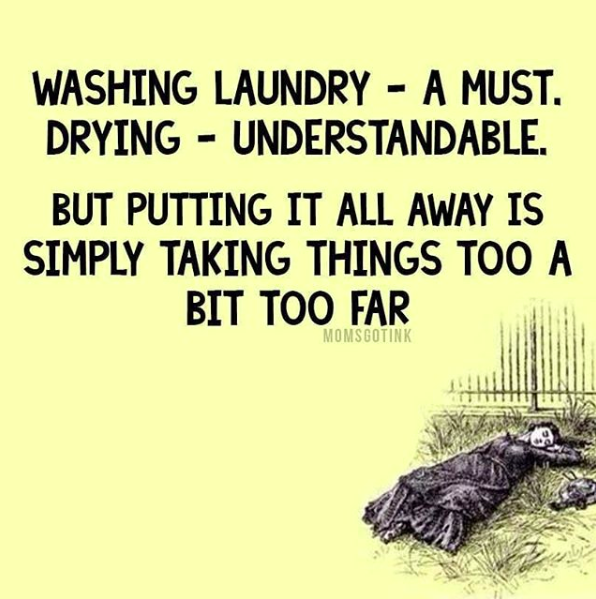 washing laundry - a must. drying - understandable. but putting it all away is simply taking things a bit too far.