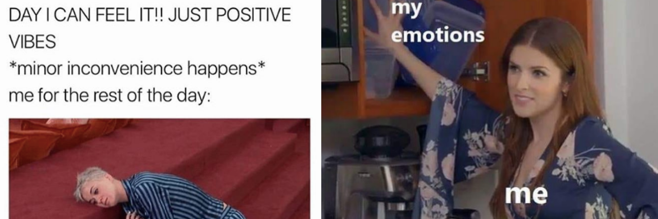 20 Memes That Nail the Emotional Roller Coaster of BPD