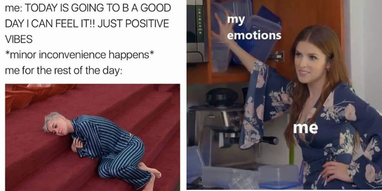20 Memes That Nail the Emotional Roller Coaster of BPD | The Mighty
