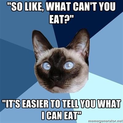 Image of cat says, "'So like, what can't you eat?' 'It's easier to tell you what I can eat.'"