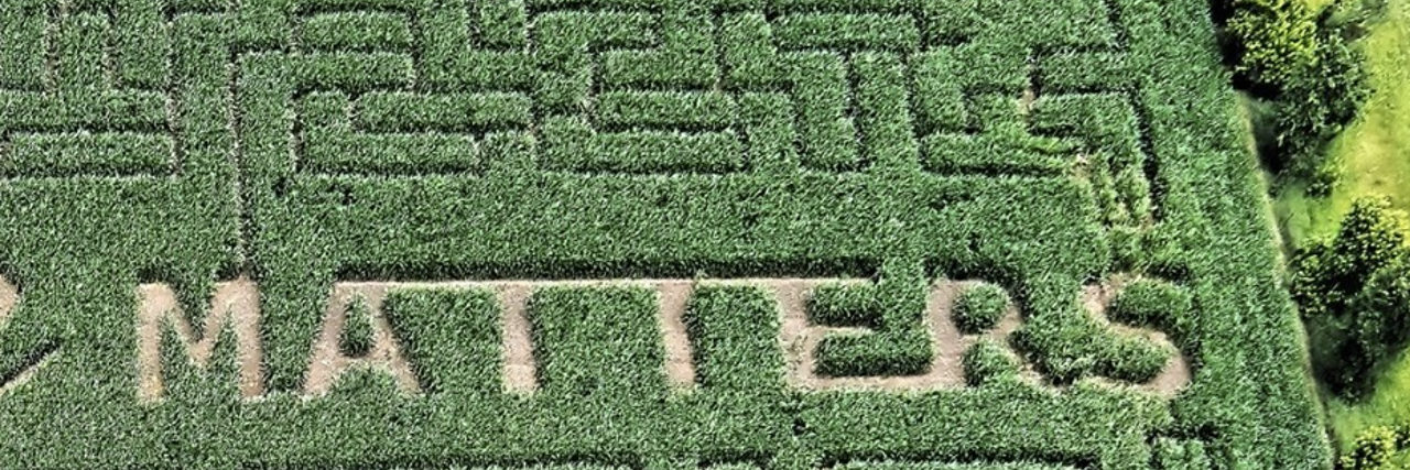 Govin's Farm Turns Corn Maze in Suicide Prevention Message Corn maze with "Your Life Matters" landscaped in.