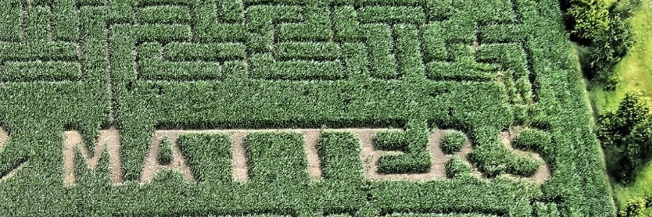 Corn maze with "Your Life Matters" landscaped in.
