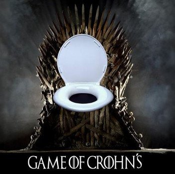 This pictures a toilet seat in a Game of Throne's Style throne.