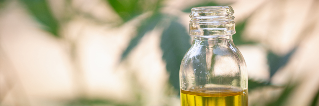 What to Know Before Using CBD for Chronic Illness picture of a bottle of hemp oil with a dropper, marijuana plant in the back