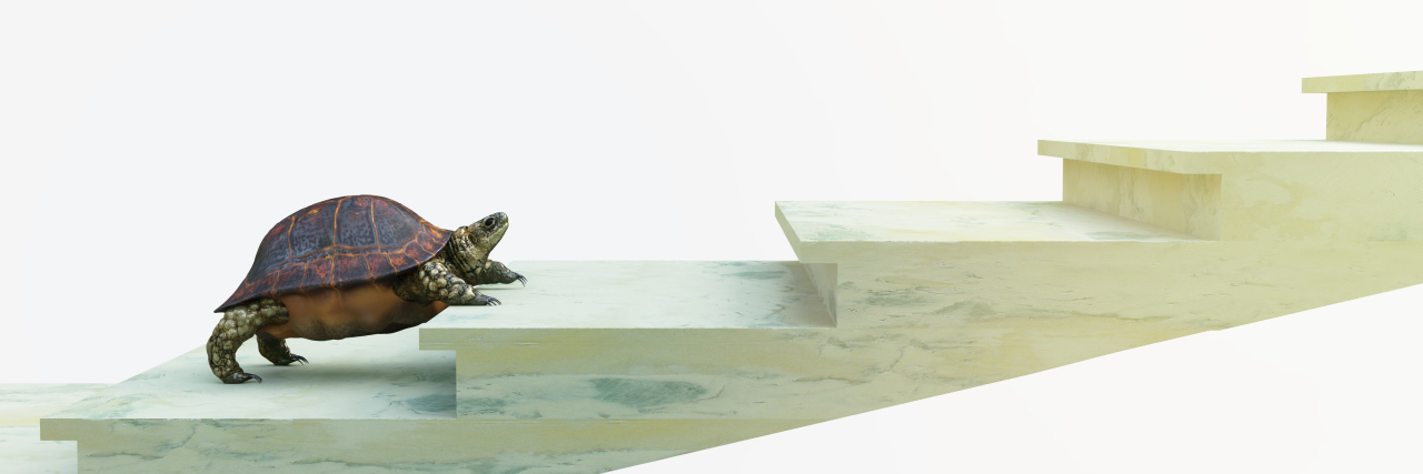 How Taking Small Steps Forward Has Helped My Anxiety turtle trying to climb the stairs