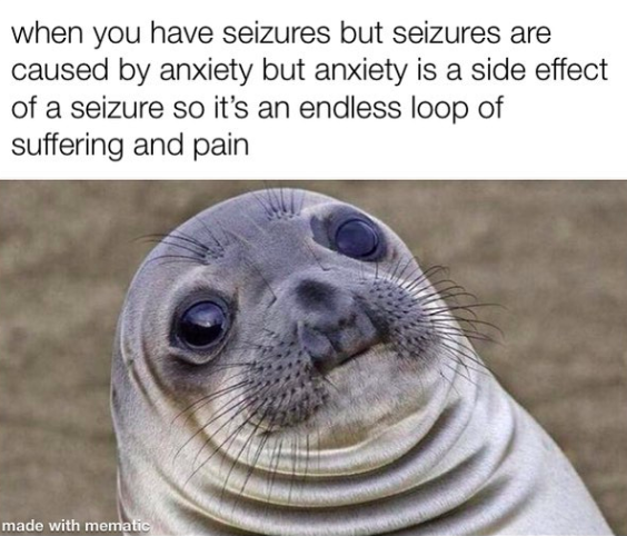 seal looking worried, caption about anxiety causing seizures but anxiety is also a side effect of seizures