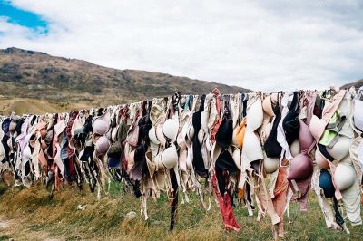 Bras drying on a clothesline.