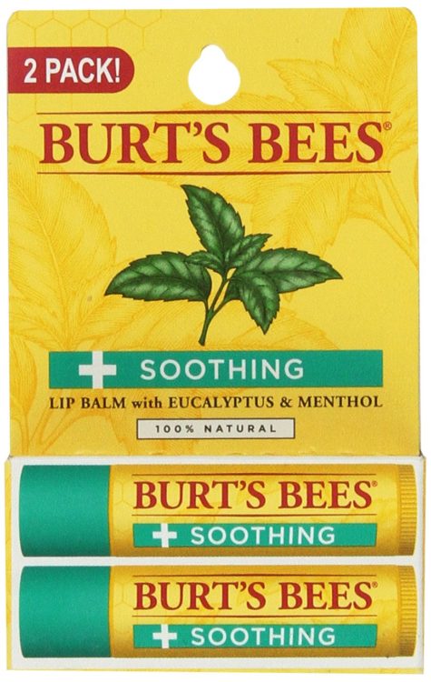 Burt's bees 2-pack chapstick