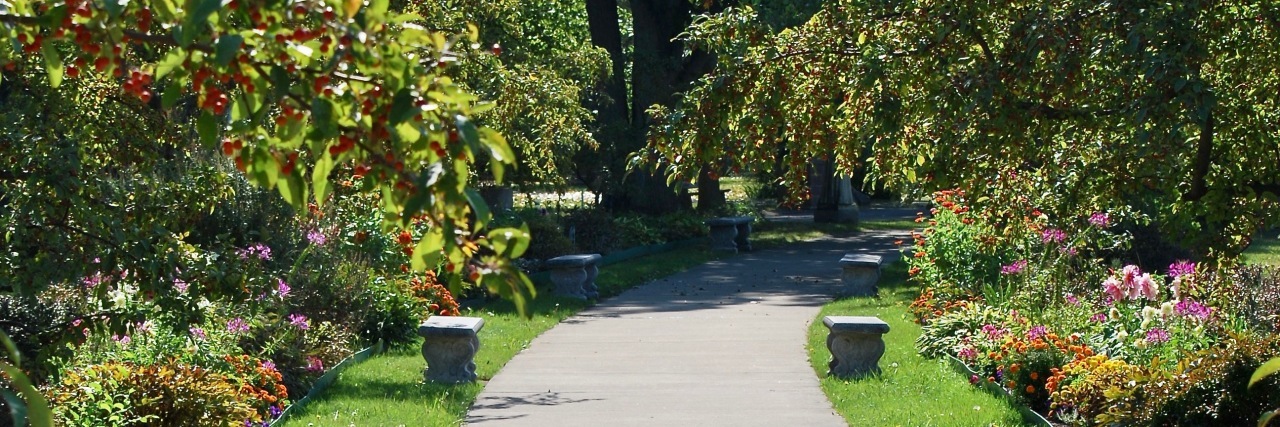 Getting an Ostomy as a Teen With Crohn's Disease Garden path.