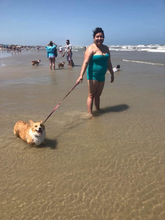 woman walking her corgi at the beach