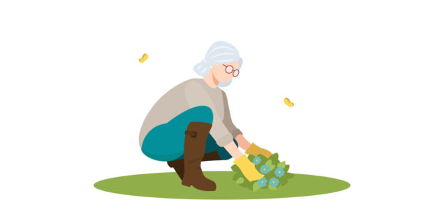 Illustration of an older woman with grey hair bending down to garden