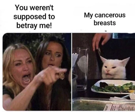 woman yelling at cat, you weren't supposed to betray me. cat is labeled my cancerous breasts