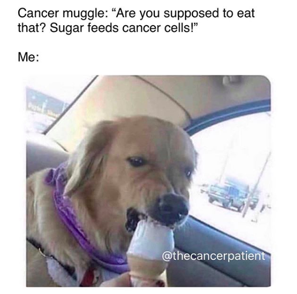 cancer muggle: are you supposed to eat that? sugar feeds cancer cells. image of dog eating ice cream cone
