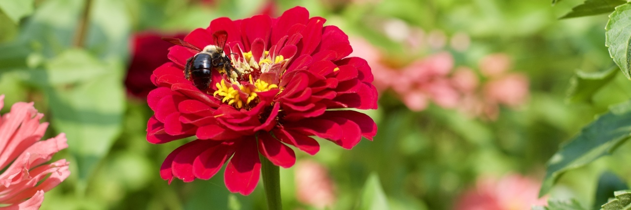 The Gift That Comes From Grief