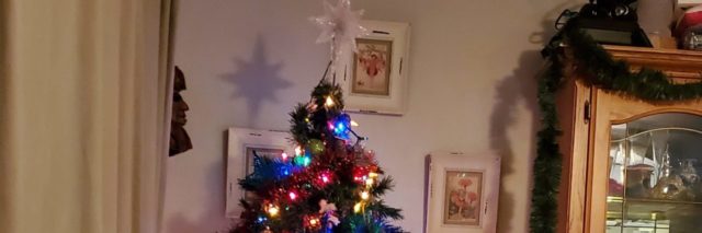 Sarah's Christmas tree.