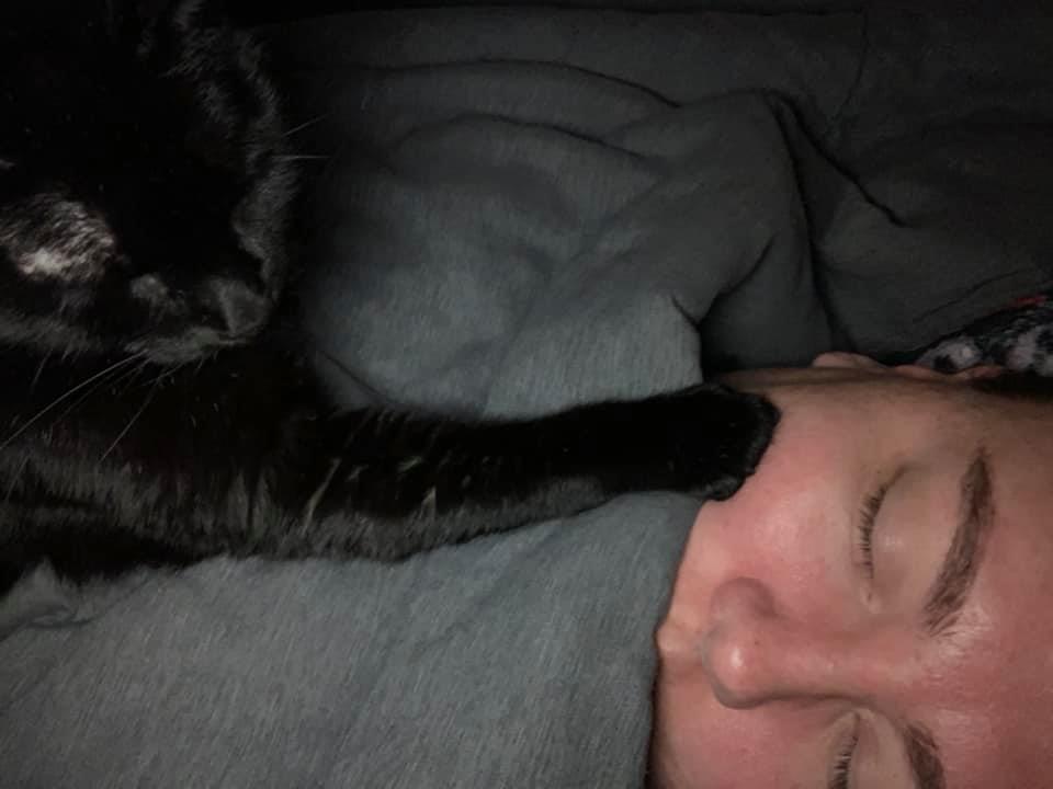 A person resting with their cat
