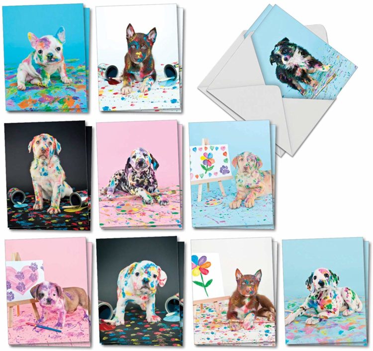 Dirty Dogs - 20 Puppy All Occasion Blank Cards with Envelopes (4 x 5.12 Inch) - Naughty Paint Covered Pet Dog Photos - Boxed Set of Assorted Note Cards for Kids (10 Designs, 2 Each) AM7217OCB-B2x10