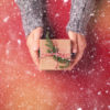 snowy picture of a woman's hands in a silver sweater giving a brown paper wrapped present