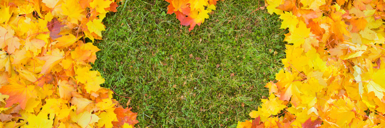 Navigating the 5 Stages of Experiential Learning with Chronic Illness heart shape created from grass surrounded by leaves, with boots in the frame