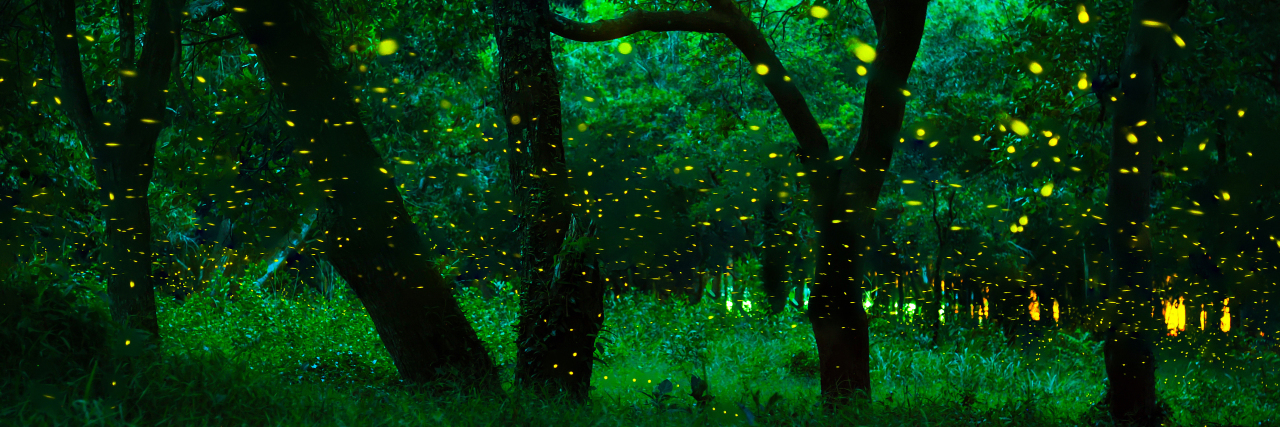 Fireflies in a dark forest.