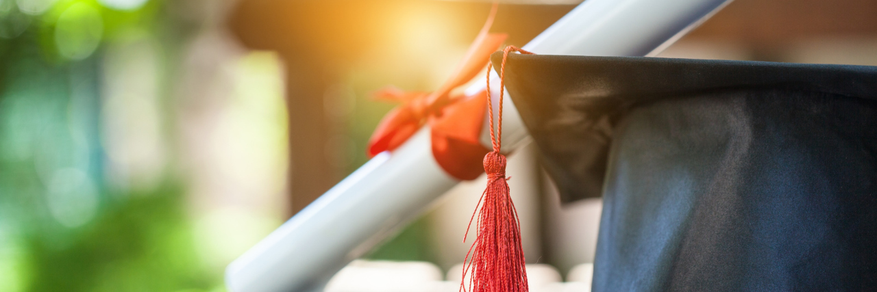 5 Reasons Zebras Deserve an Honorary Medical Degree