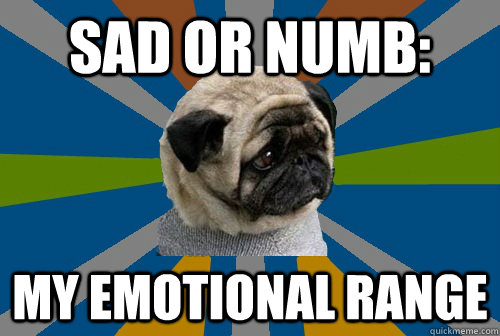 sad or numb - my emotional range meme