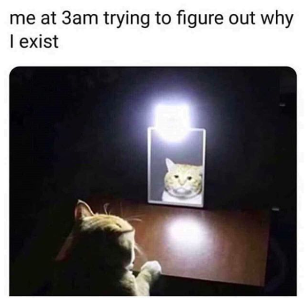 me at 3am trying to figure out why I exist (image of a cat looking in a mirror with a light in a dark room)