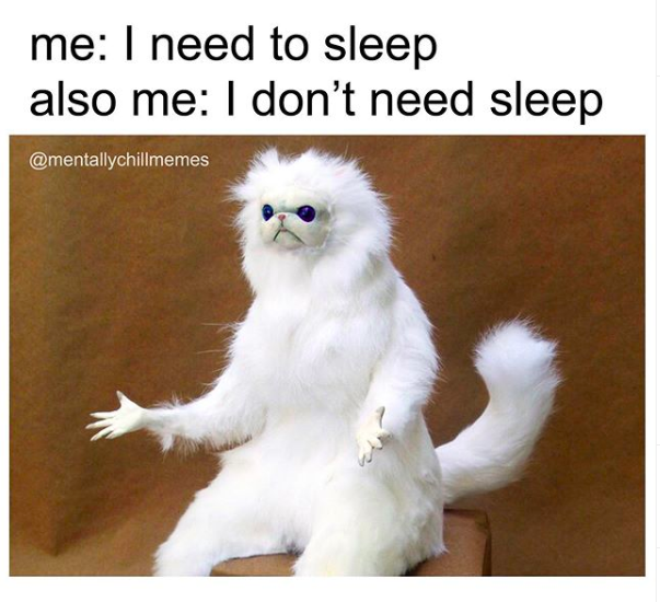 me: I need to sleep also me: I don't need sleep (image of a stuffed animal)