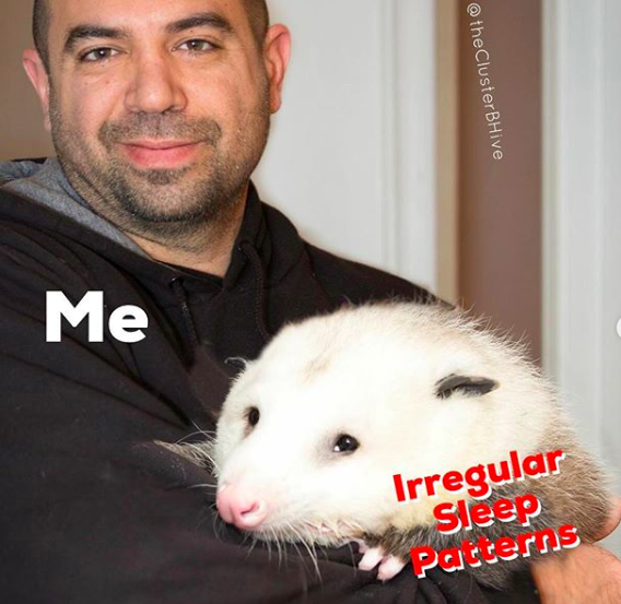 Image of a person holding a possum with the words "Me" over the person and "Irregular Sleep Patterns" over the possum.