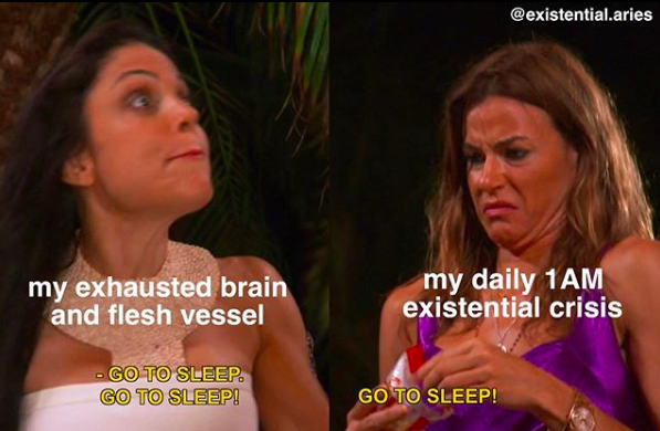 screen grabs of two people from Real Housewives of New York saying "Go to sleep" repeatedly, with text over the left image that says "my exhausted brain and flesh vessel" and on the right "my daily 1AM existential crisis"