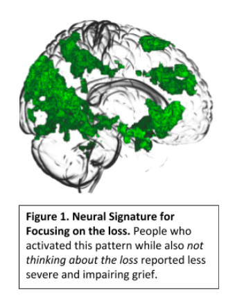 Image of a brain scan. Text below reads: Figure 1. Neural Signature for Focusing on the loss. People who activated this pattern while also not thinking about the loss reported less severe and impairing grief.