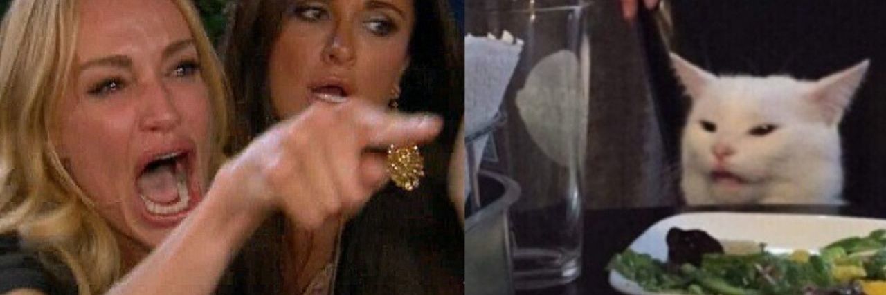 The Story of 'Woman Yelling at a Cat' Meme Was the Result of Abuse Woman Yelling at a Cat meme