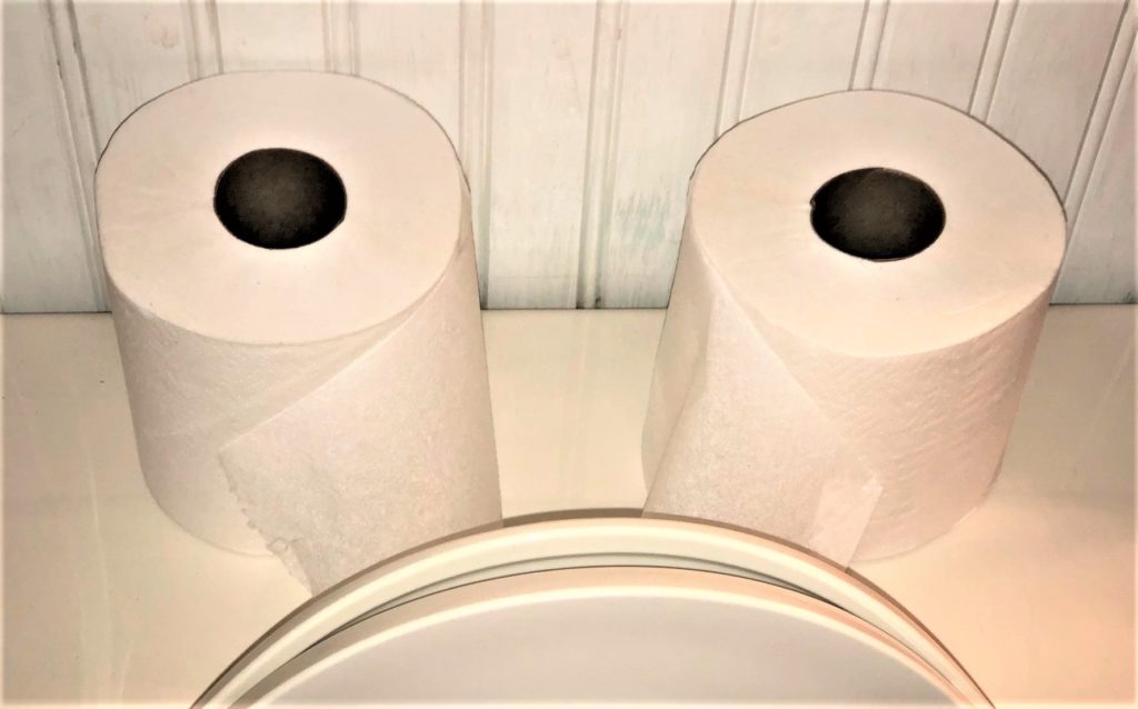 photo of toilet rolls which look like eyes, and toilet lid which looks like a mouth