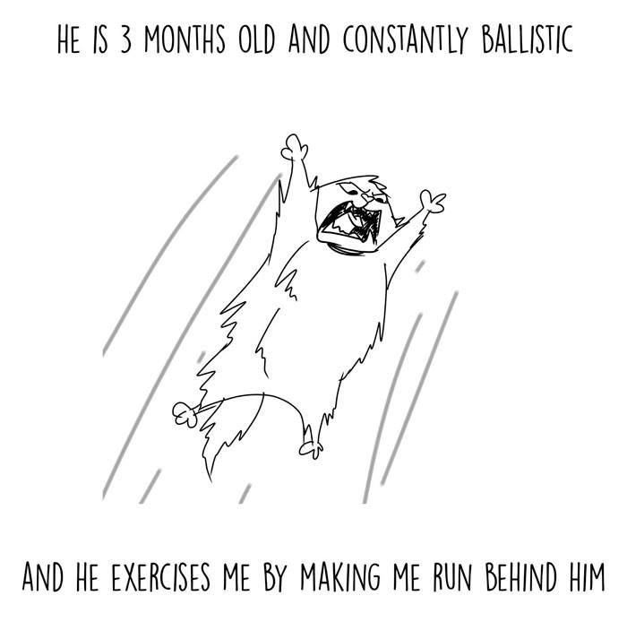 Black and white cartoon cat with text that reads: "His is 3 months old and constantly ballistic. And he exercises me by making me run behind him."