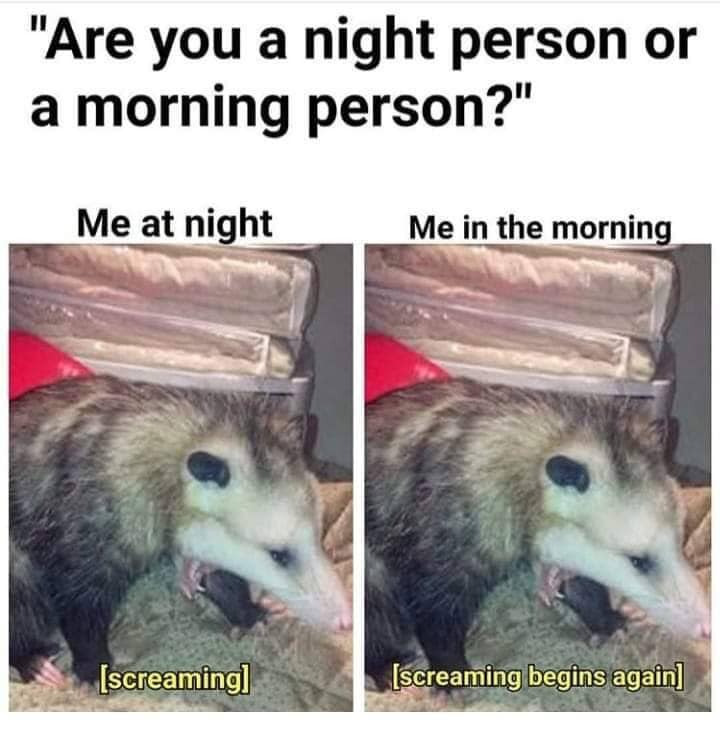 "Are you a night person or a morning person?" Me at night: [screaming] Me in the morning: [screaming begins again]